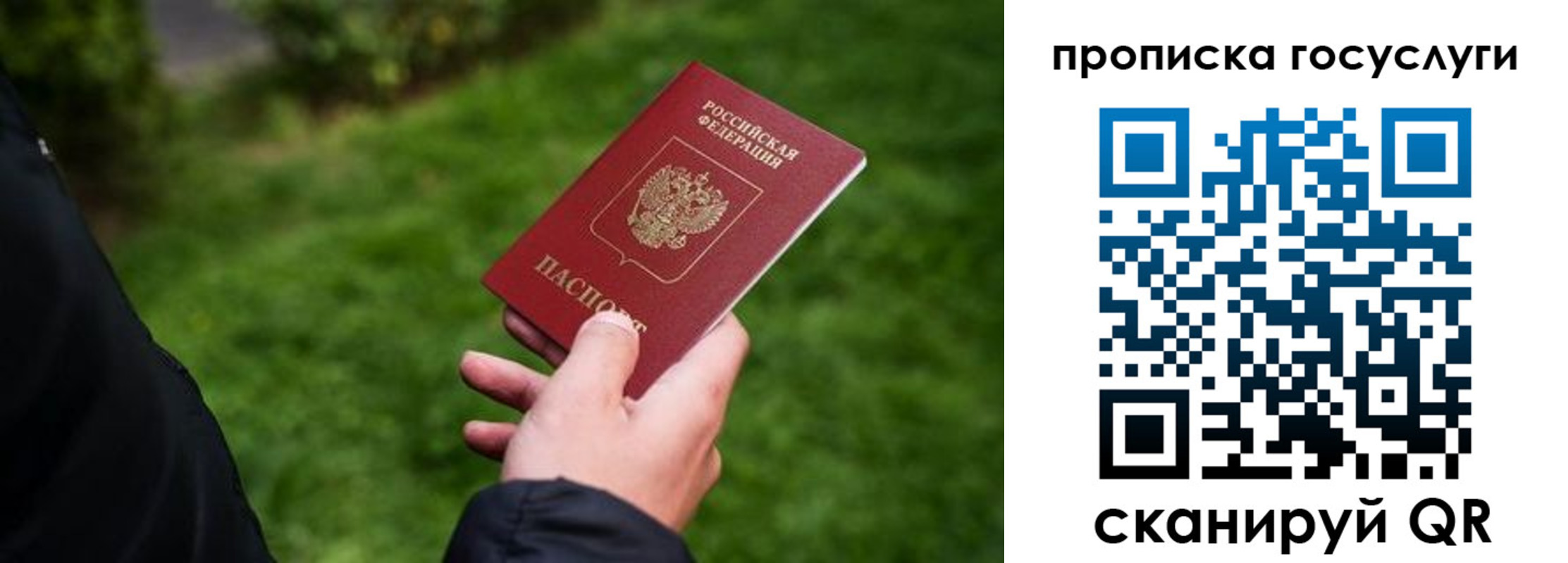 прописка для работы в Ряжске